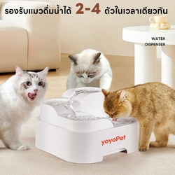 Thai Brands - VTENH